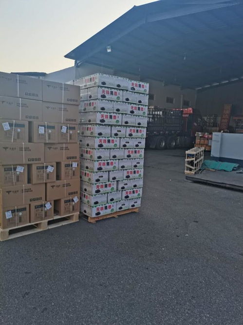 行李 包裹托運(yùn) 上門服務(wù) 口碑好