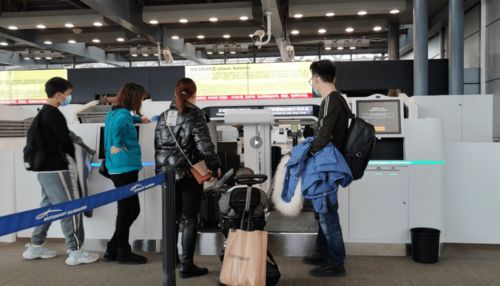 春運(yùn)保障 白云信科可切換行李托運(yùn)設(shè)備投用,為白云機(jī)場(chǎng)春運(yùn)保駕護(hù)航